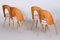 Mid-Century Modern Chairs by Antonín Šuman, 1950s, Set of 4 6