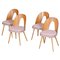 Mid-Century Modern Chairs by Antonín Šuman, 1950s, Set of 4 1