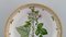 Scodella rotonda Flora Danica in porcellana dipinta a mano di Royal Copenhagen, Immagine 3