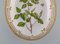Cuenco Flora Danica ovalado de porcelana pintada a mano de Royal Copenhagen, Imagen 2