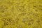 Vintage Yellow Overdyed Rug, Image 5