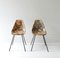 Fibreglass Side Chairs by Rene Jean Caillette, France, 1950s, Set of 2 3