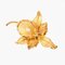 18 Karat Pearl Yellow Mat Gold Lily Brooch, 1960s 9