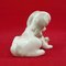 Dog & Snail Figurine from Lladro 8