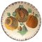 Piatto tradizionale in ceramica dipinta a mano di Puigdemont, Catalan, anni '60, Immagine 1