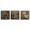 Diaz Costa, Hand-Painted Fish, 1960s, Ceramic & Paint, Framed, Set of 3, Image 1