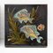 Diaz Costa, Hand-Painted Fish, 1960s, Ceramic & Paint, Framed, Set of 3 3