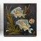 Diaz Costa, Hand-Painted Fish, 1960s, Ceramic & Paint, Framed, Set of 3, Image 3
