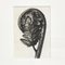 Karl Blossfeldt, Flower, 1942, Fotograbado en blanco y negro, Imagen 7