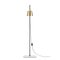 Anatomy Design Lab Light Floor Brass, Porcelain and Steel Floor Lamp by Joe Colombo, Image 3