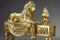 Andirons with Lions in bronzo dorato e cesellato, set di 2, Immagine 5