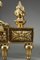 Andirons with Lions in bronzo dorato e cesellato, set di 2, Immagine 13