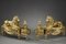 Andirons with Lions in bronzo dorato e cesellato, set di 2, Immagine 15