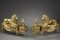 Andirons with Lions in Gilded & Chiseled Bronze, Set of 2 15