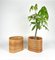 Mid-Century Oval Rattan and Bamboo Basket Plant Holders or Vases, Italy, 1960s, Set of 2, Image 5