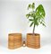 Mid-Century Oval Rattan and Bamboo Basket Plant Holders or Vases, Italy, 1960s, Set of 2 8