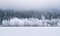 Nate Hovee, Snow-Covered Winter Landscape, Photographic Paper, Image 1