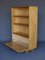 BB03 Bookcase by Cees Braakman for UMS Pastoe, 1950s 4