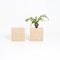 Travertine Side Tables by P. A. Giusti & E. Di Rosa for Up & Up, Set of 2 15