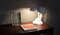 Lampada da scrivania in ceramica smaltata di Tommaso Barbi, anni '70, Immagine 3
