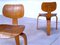 German SE 42 Dining Chairs by Egon Eiermann for Wilde & Spieth, 1949, Set of 4 4