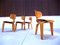 German SE 42 Dining Chairs by Egon Eiermann for Wilde & Spieth, 1949, Set of 4, Image 2