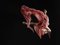 Ryan McVay, Danseur de Ballet Portant une Robe Fluide à Mid Air Leap, Side View, Papier Photographique 1
