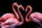 Seng Chye Teo, 3 Flamingo on Black, Photographic Paper, Image 1