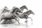 Tunart, Mandria di cavalli selvaggi che corrono nell'acqua, carta fotografica, Immagine 1