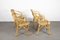 Mid-Century Rattan Chairs, 1950s, Set of 4 2