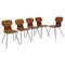 Mid-Century Italian Curved Teak Dining Chairs in Style of Carlo Ratti, Set of 5 1