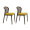 Canaletto Vienna Little Armchairs in Ochre by Colé Italia, Set of 2 2