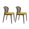 Petits Fauteuils Canaletto Vienna en Ocre par Colé Italia, Set de 2 2