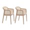 Vienna Little Armchairs in Beige Beech Wood by Colé Italia, Set of 4 3
