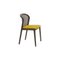 Canaletto Vienna Chair in Ochre by Colé Italia 1