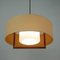 Mid-Century Raffia Teak and Milk Glass Pendant from Temde, Switzerland, 1960s 6