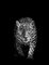 Vieriu Adrian, Profil de Visage de Tigre, Animal Abstrait, Papier Photographique 1