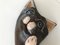 Hand Carved Wooden Big Kitten, 1970s, Image 15