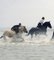 Horse Riding, Race at Rising Tide, 2003, Color Photograph 2