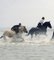 Reiten, Race at Rising Tide, 2003, Farbfotografie 2