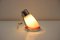 Lampe de Bureau avec Abat-Jour Ajustable par Drupol, 1950s 7
