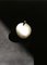 Apl Apple Skulptur aus Alabaster und Messing von Edouard Sankowski für Krzywda mit poliertem natürlichem Messing und marmoriertem durchscheinendem Alabaster, 2er Set 4
