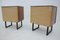 Mid-Century Bedside Tables, 1960s, Set of 2, Image 9