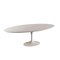 Laminated Tulip Table by Eero Saarinen for Knoll, Italy, 1990s, Image 1