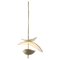 Free Form C Pendant Lamp by Elsa Foulon, Image 1