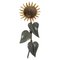 Wall Lamp in the Shape of a Sunflower, 1960, Image 1