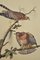 Large Ornithological Studies of Birds, Set of 2 9