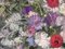 Alberto Sugghi, Blumen Stillleben, 1964, Öl auf Leinwand, gerahmt 4
