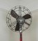 Floor Standing Oscillating Fan from Marelli 6