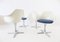 Model 116 4 Dining Room Chairs by Maurice Burke for Arkana, Set of 4, Image 2